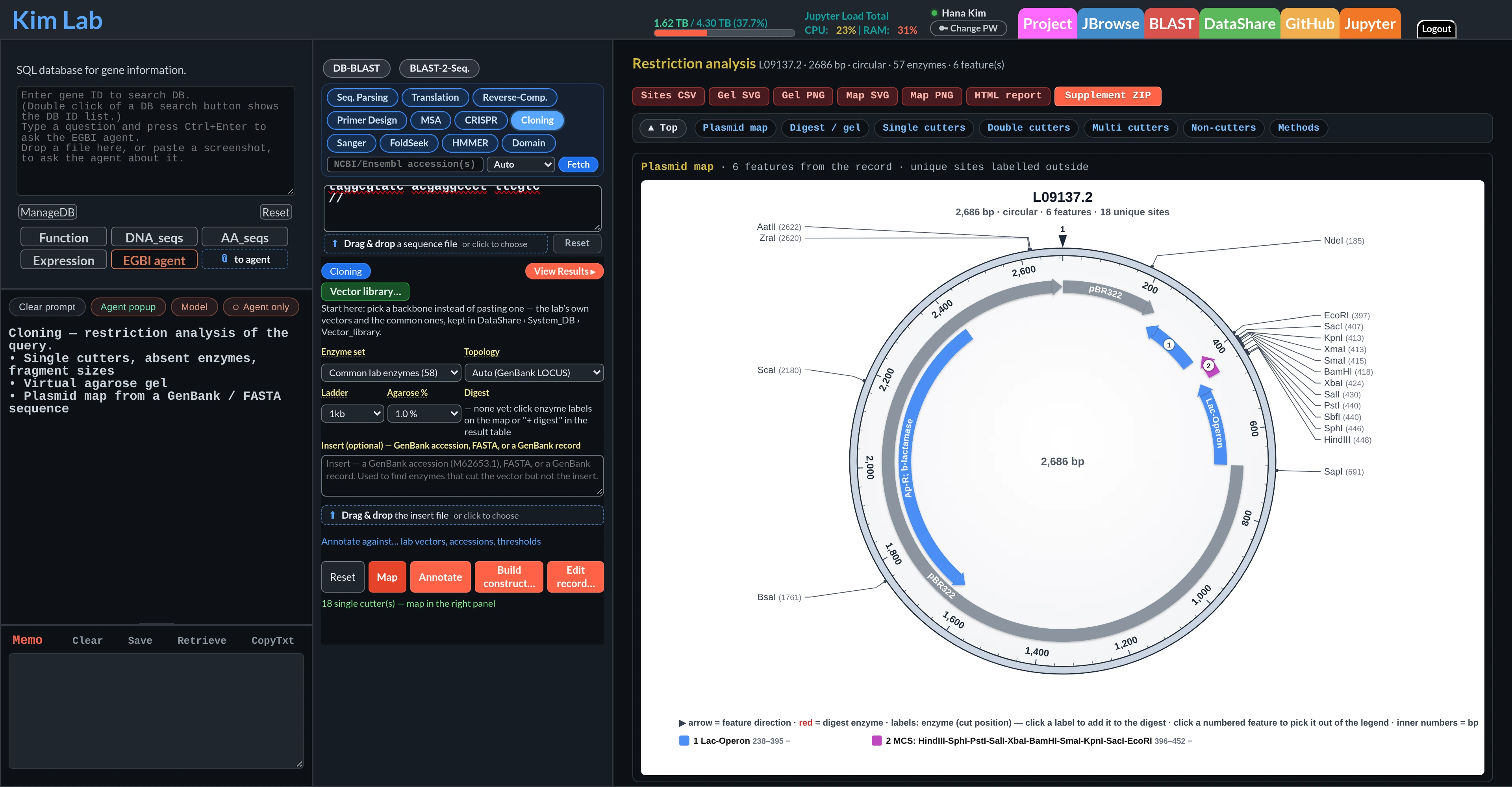Plasmid map and restriction analysis